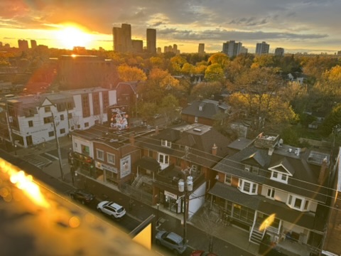 Our Toronto neighbourhood at golden hour
